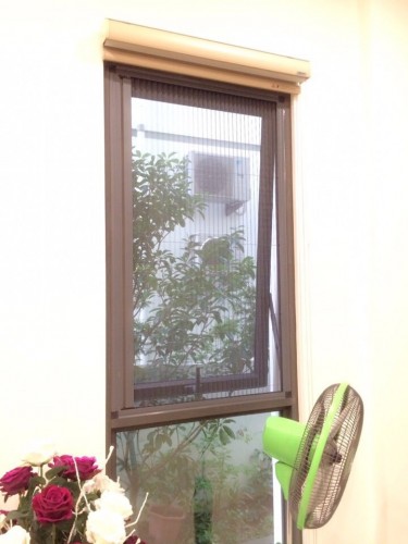 cửa lưới 10